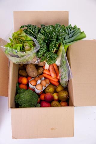 food boxes nz